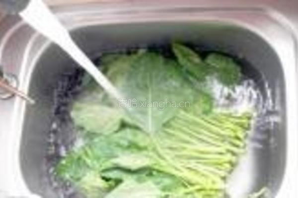 蚝油芥蓝菜的做法图解2