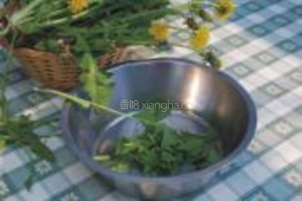 凉拌蒲公英的做法图解1