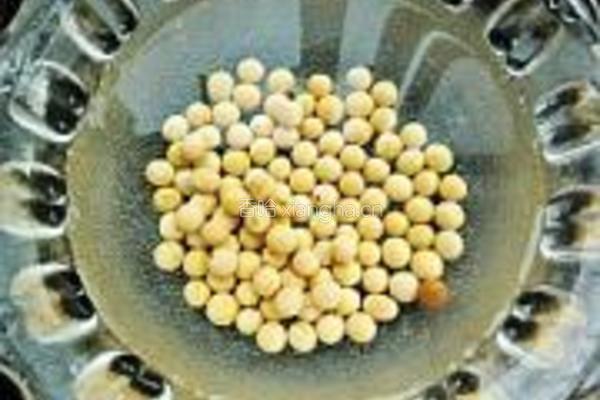 荞麦豆浆的做法图解2