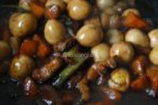 红烧腐乳肉卤蛋的做法图解15
