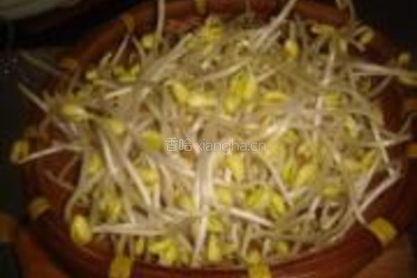 凉拌黄豆芽的做法图解7