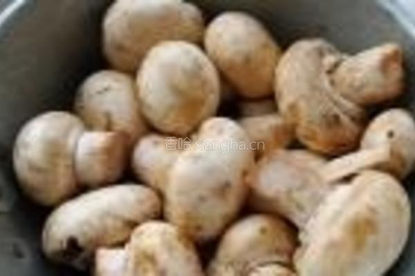 双鲍菇虎皮蛋红烧肉的做法图解4
