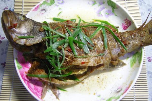 香辣豆酱蒸鲈鱼