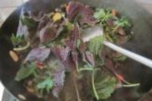 香辣田螺的做法图解10