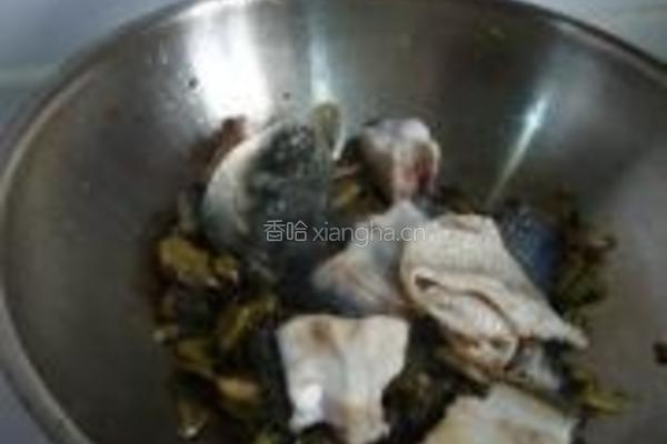 草头酸汤鱼的做法图解2