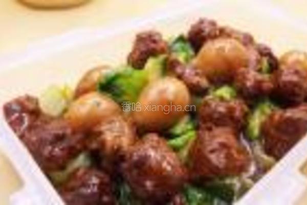 鹌鹑蛋肉圆菜底的做法图解7