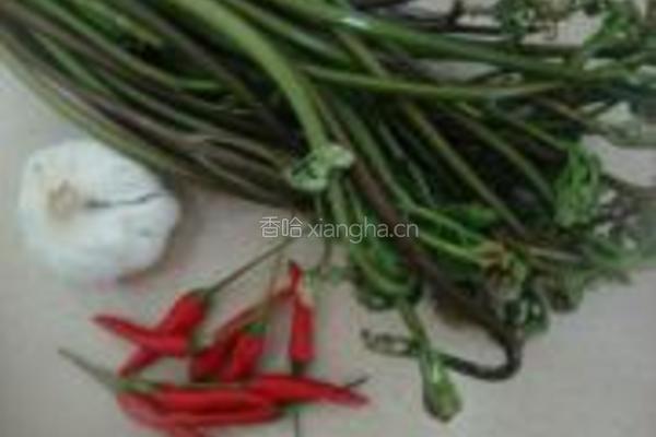 凉拌蕨菜的做法图解1