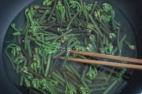 凉拌蕨菜的做法图解4