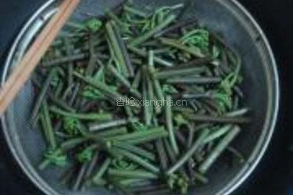 凉拌蕨菜的做法图解5