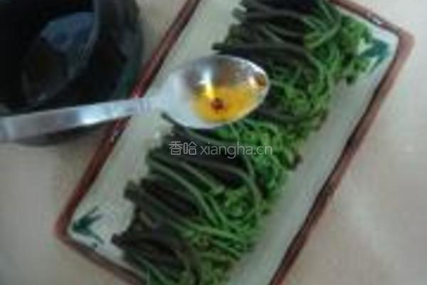 凉拌蕨菜的做法图解6