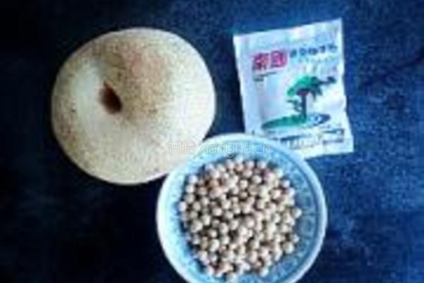 椰梨汁豆浆的做法图解1