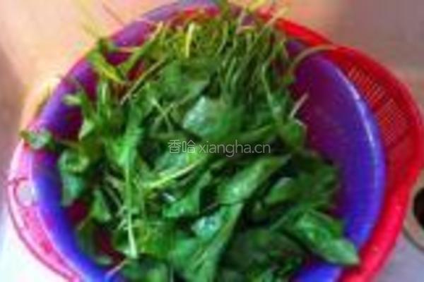 荠菜黄鱼春卷的做法图解2