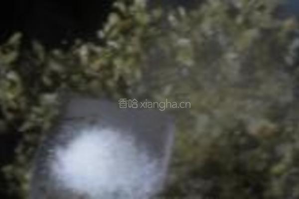 翻炒酸菜的做法图解4