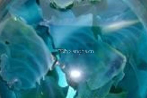 糯米肉丸的做法图解2