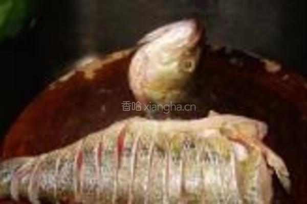 清蒸鲈鱼的做法图解2