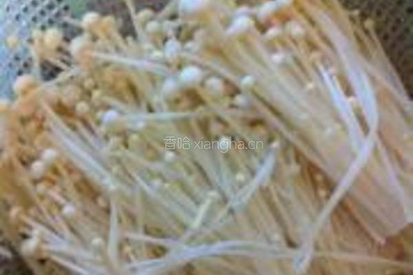 芥末凉拌金针菇的做法图解1