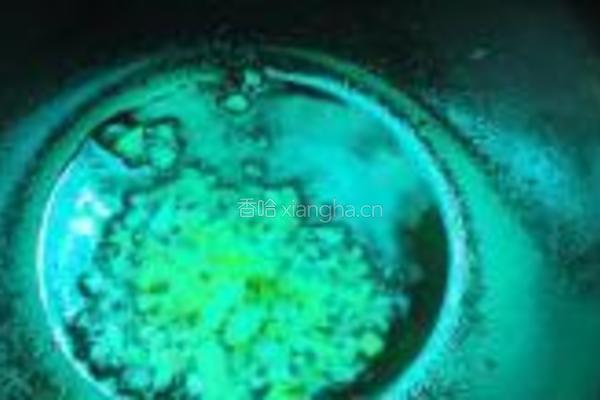 罗非鱼豆腐煲的做法图解6