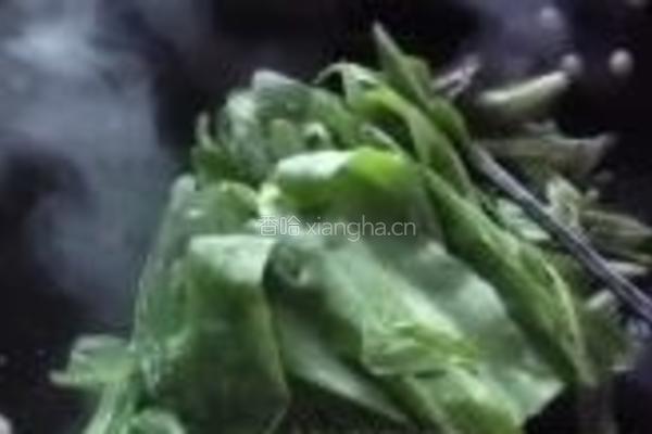素炒油麦菜的做法图解3