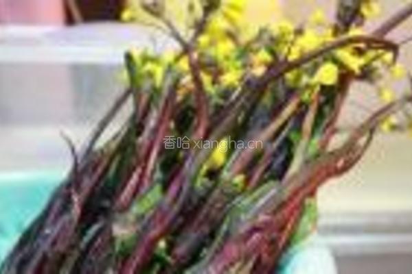 蒜炒红菜苔的做法图解1