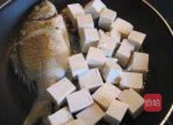煎海鱼焖豆腐的做法图解3
