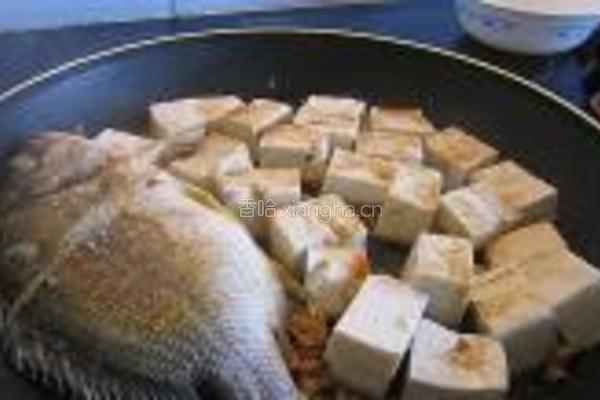 煎海鱼焖豆腐的做法图解4