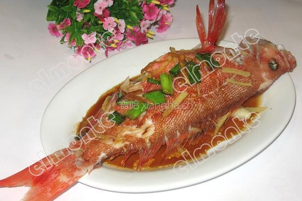 清蒸红鲷鱼