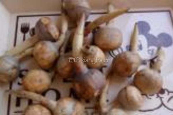 茨菇烧肉的做法图解2