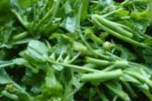炝炒油菜心的做法图解1