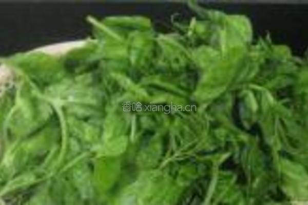 蒜泥凉拌豌豆苗的做法图解1