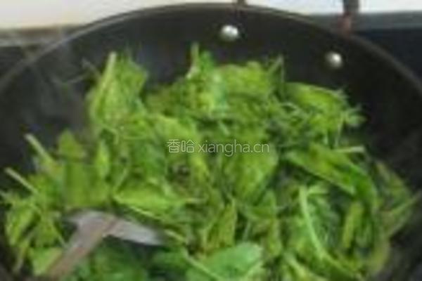 蒜泥凉拌豌豆苗的做法图解3