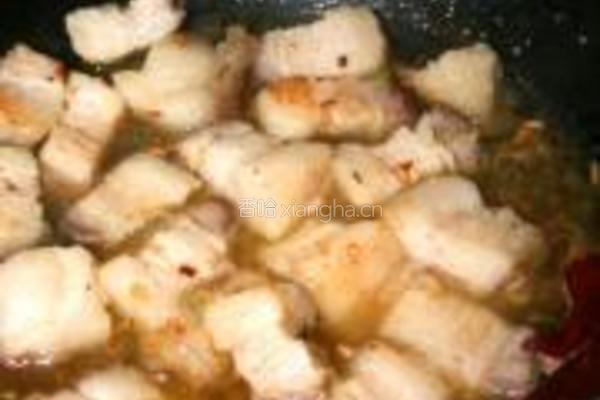 可乐飞天红烧肉的做法图解11
