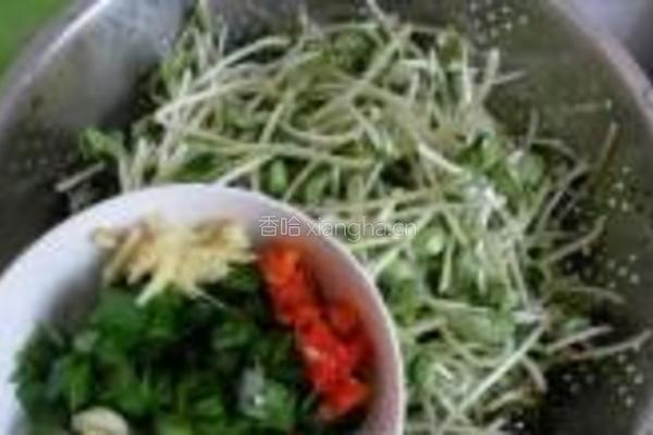 蒜香黑豆苗的做法图解2