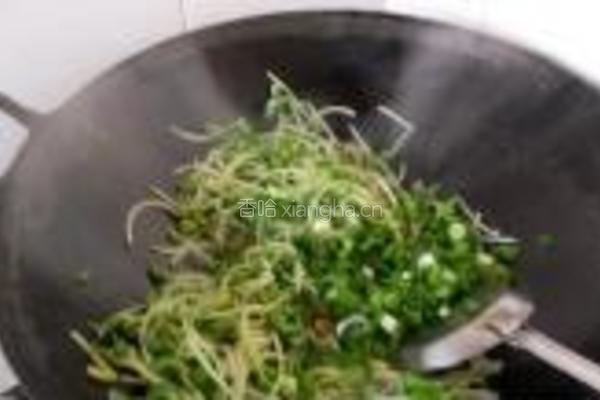 蒜香黑豆苗的做法图解6