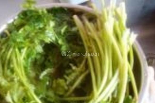 香菜炒豆腐的做法图解6