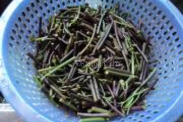 腐乳蕨菜的做法图解1