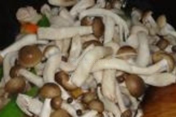 多彩蟹味菇的做法图解8