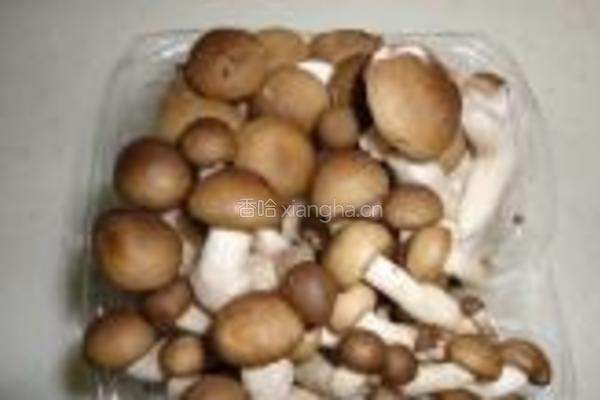 多彩蟹味菇的做法图解1