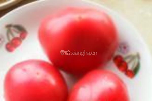 糖拌西红柿的做法图解1
