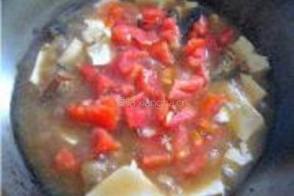 乌鱼炖豆腐的做法图解9