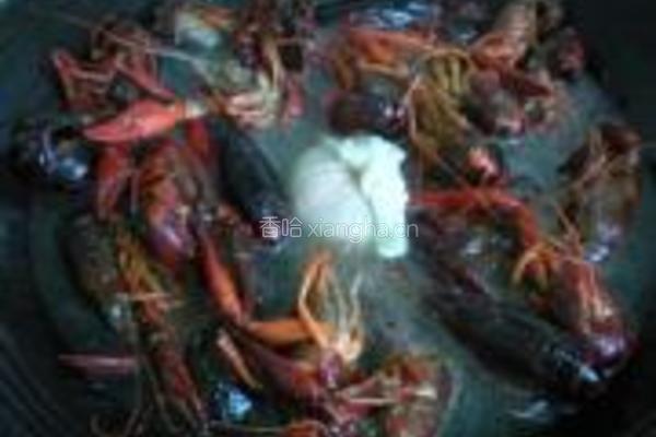 手抓十三香龙虾的做法图解5