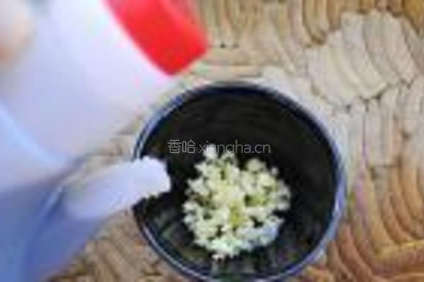 苦菊千张卷的做法图解11
