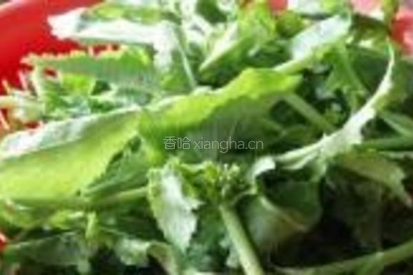 炝炒白油菜尖的做法图解1