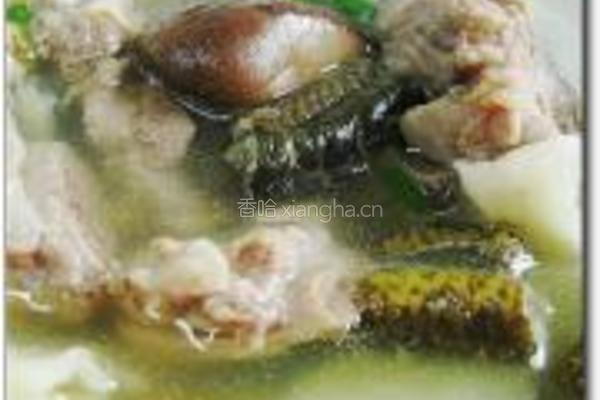 土黄鳝炖排骨的做法图解8