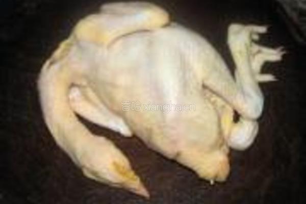 石斛灵芝炖鸡汤的做法图解1