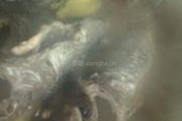 干锅黑鱼的做法图解10