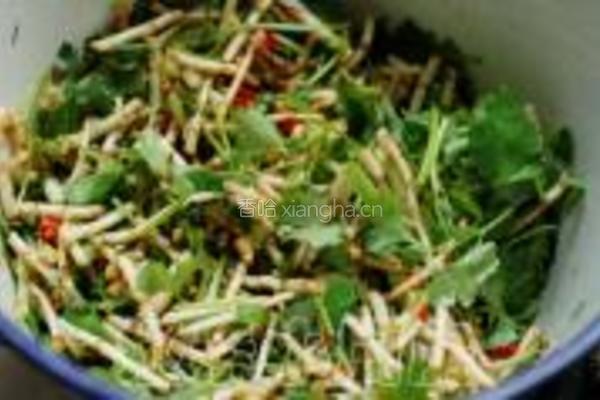凉拌臭菜根的做法图解8