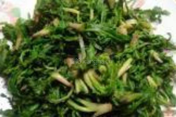 凉拌苦苦菜的做法图解6