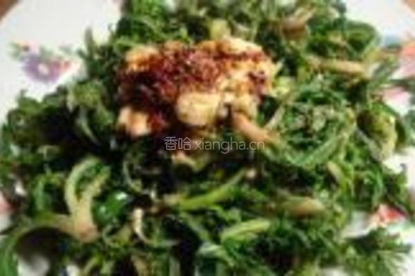 凉拌苦苦菜的做法图解8