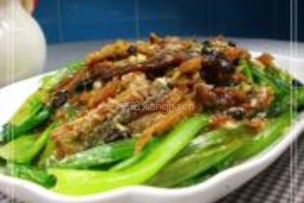 豆豉鲮鱼油麦菜的做法图解6