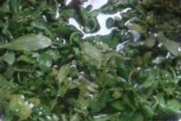 荠菜团子的做法图解1